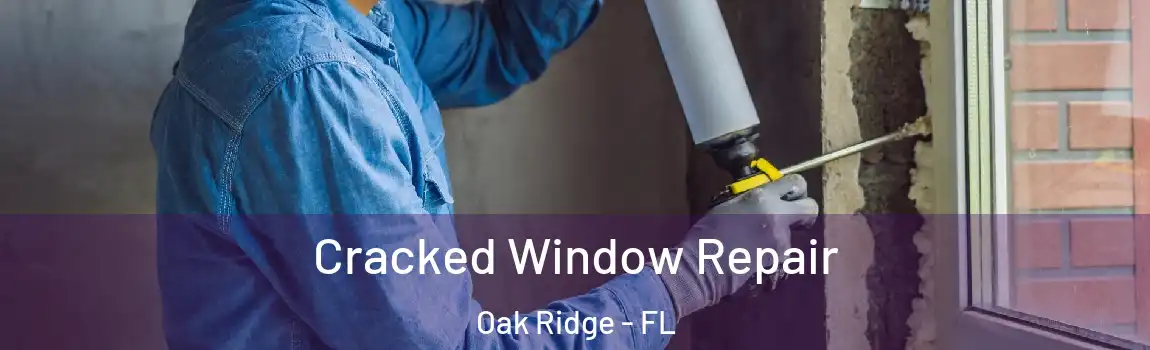  Cracked Window Repair Oak Ridge - FL