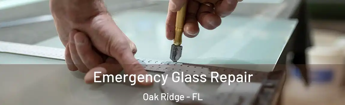  Emergency Glass Repair Oak Ridge - FL