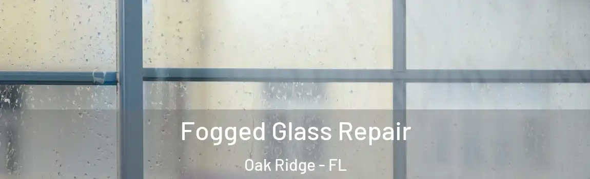 Fogged Glass Repair Oak Ridge - FL