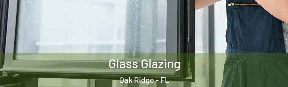  Glass Glazing Oak Ridge - FL