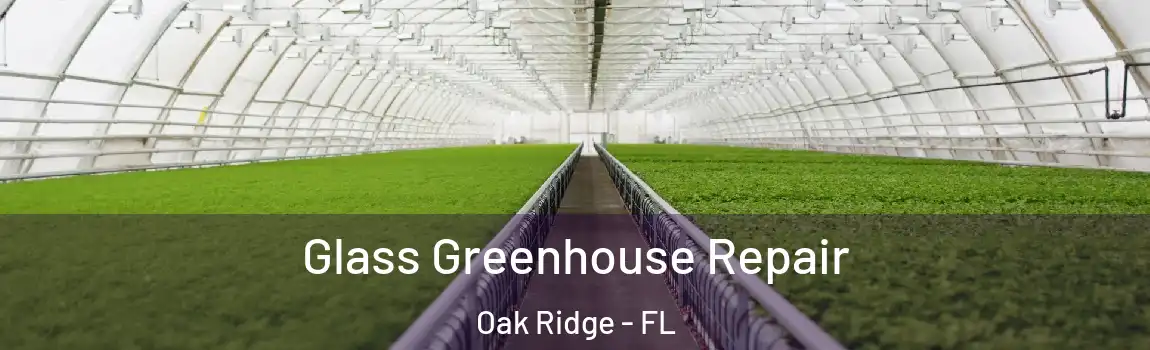  Glass Greenhouse Repair Oak Ridge - FL