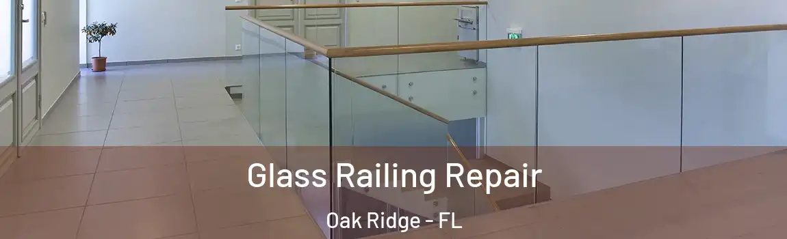  Glass Railing Repair Oak Ridge - FL