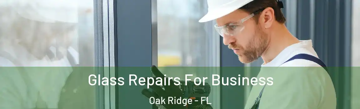  Glass Repairs For Business Oak Ridge - FL