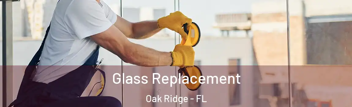  Glass Replacement Oak Ridge - FL