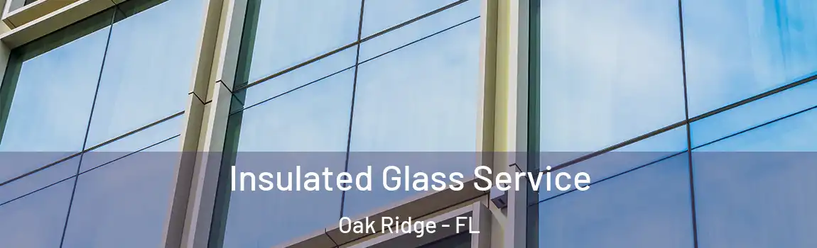  Insulated Glass Service Oak Ridge - FL