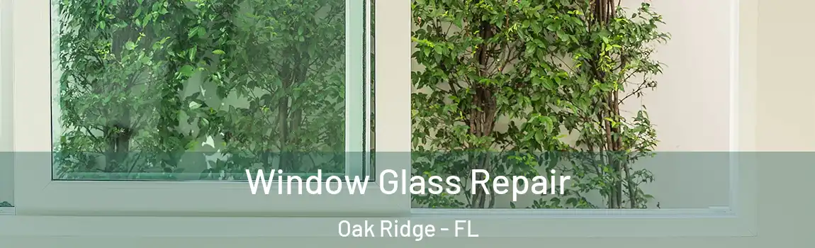  Window Glass Repair Oak Ridge - FL