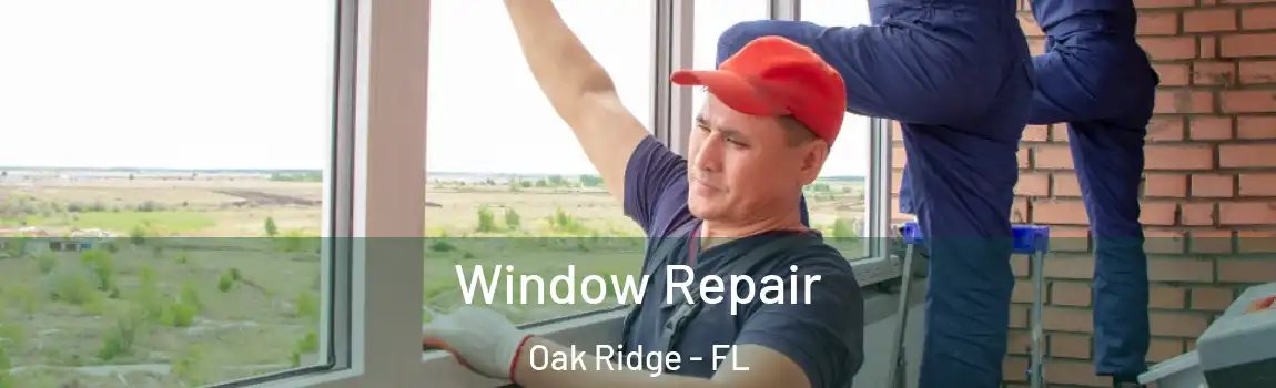  Window Repair Oak Ridge - FL
