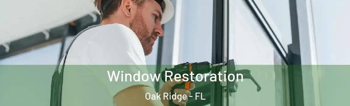  Window Restoration Oak Ridge - FL
